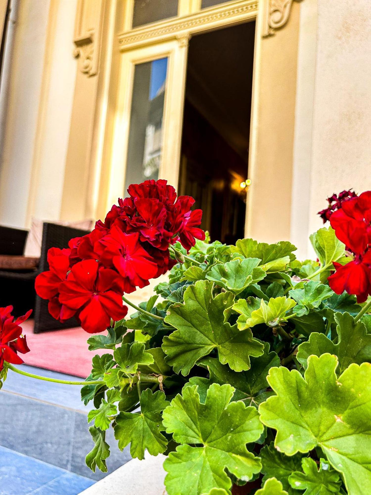 Hotel Boutique Casa Vermont Bukareszt Zewnętrze zdjęcie